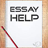 essay web services